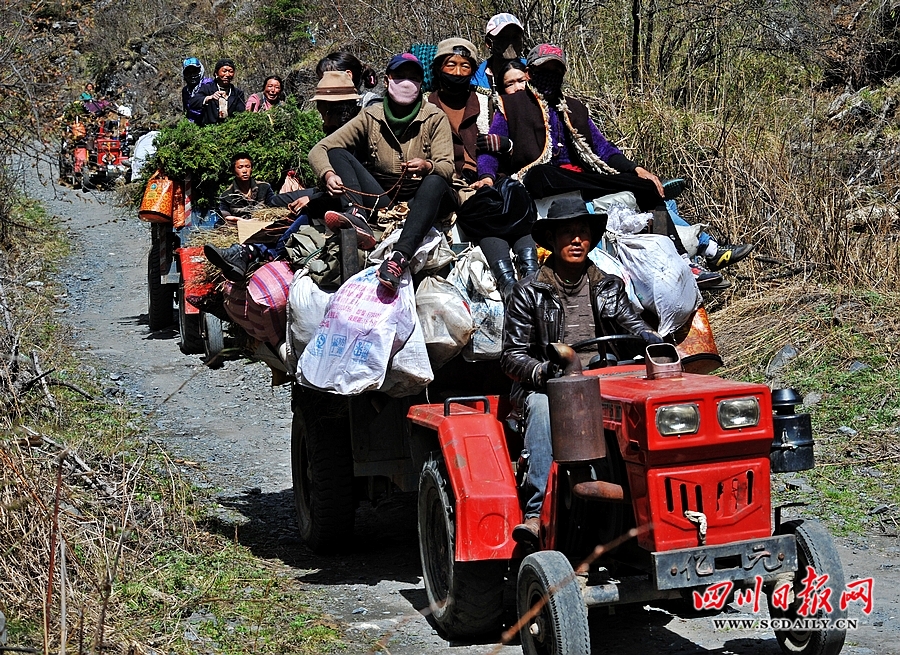 大批“淘金人”涌进药山采挖虫草。四川日报 吴传明 摄